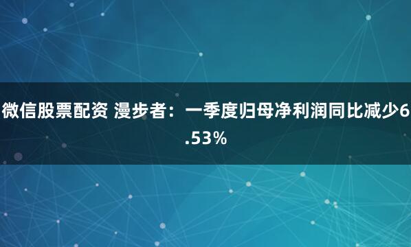 微信股票配资 漫步者：一季度归母净利润同比减少6.53%