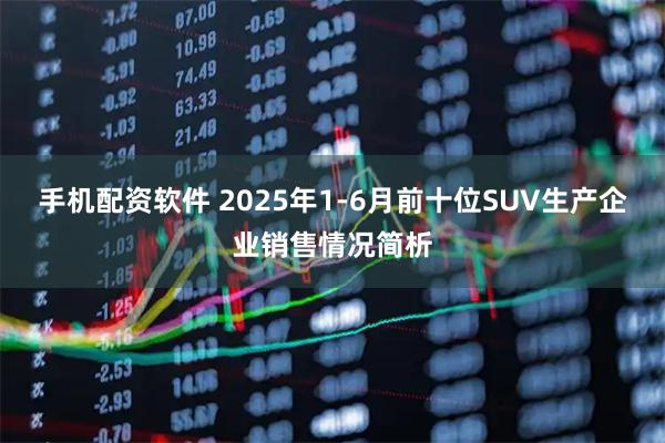 手机配资软件 2025年1-6月前十位SUV生产企业销售情况简析
