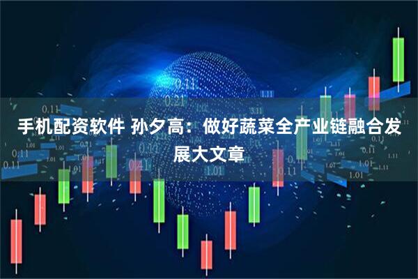 手机配资软件 孙夕高：做好蔬菜全产业链融合发展大文章